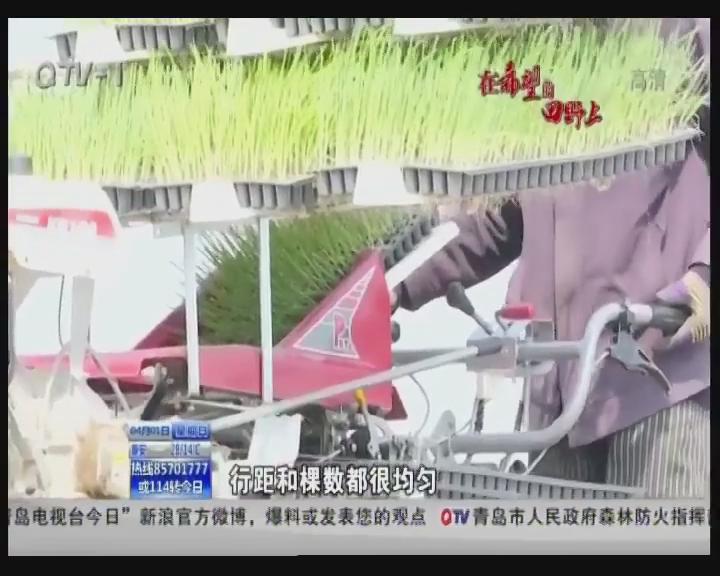 在希望的田野上：一年之計在...